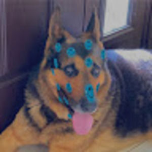 Meet your Posher, Grace